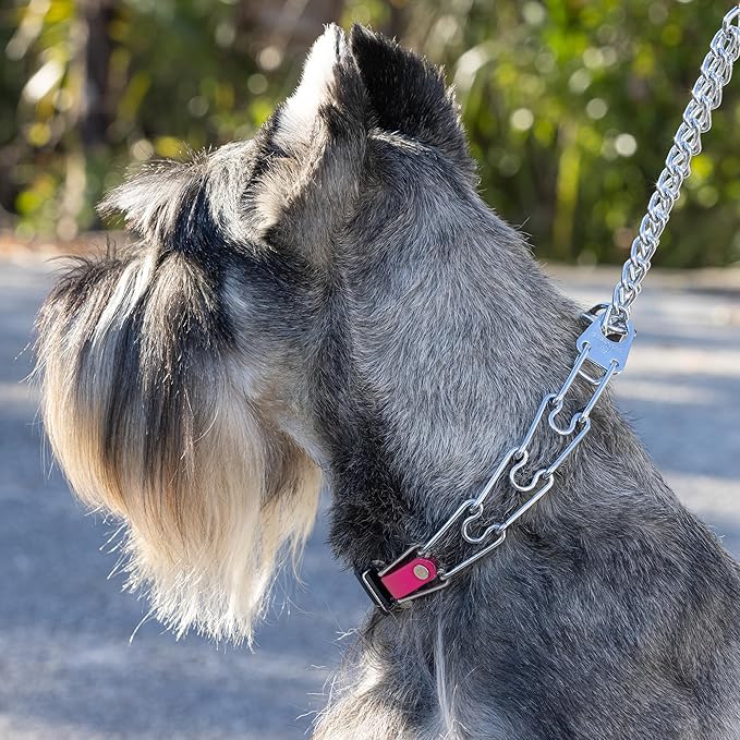 Herm Sprenger Chrome Plated Steel Dog Collar with Quick Release ClicLock Buckle and Biothane Insert Training Collar for Dogs Made in Germany (Passionfruit Pink, 22in x 3.0mm(Neck Size up to 18-19in))