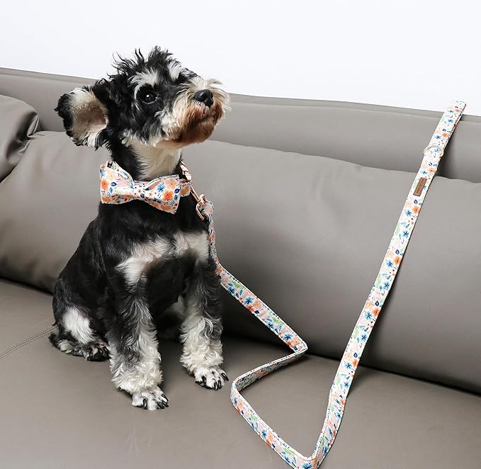 Unique Style Paws Cotton Dog Collar with Bow Floral Plaid Colorful Dog Collar with Bow Tie for Small Medium Large Dogs Pets Gifts