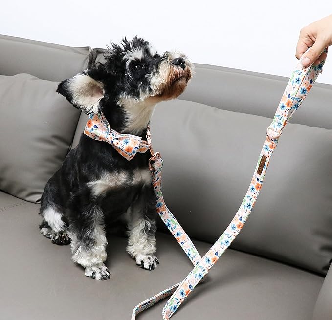 Unique Style Paws Cotton Dog Collar with Bow Floral Plaid Colorful Dog Collar with Bow Tie for Small Medium Large Dogs Pets Gifts