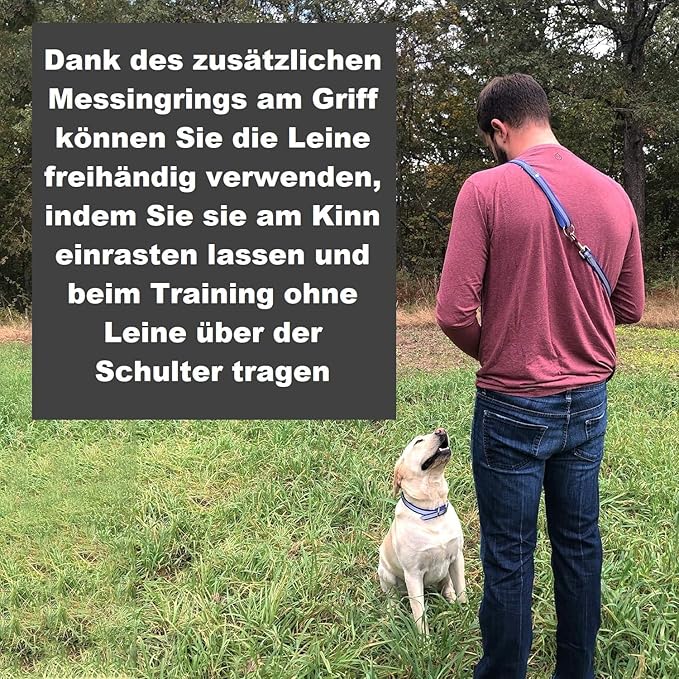 Regal Dog Products Large Orange Reflective Dog Collar and Leash Set - Waterproof Biothane Dog Collar with Heavy Duty Double Buckle, D Ring & 5ft Leash - Other Size for Medium & Large Dogs