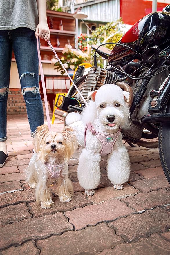 Puppytie No Pull Small Dog Harness with Multifunction Dog Leash,Lightweight Soft Adjustable No Choke Escape Proof Pet Harness Vest Pet Harness Vest,Glossy Pink,S