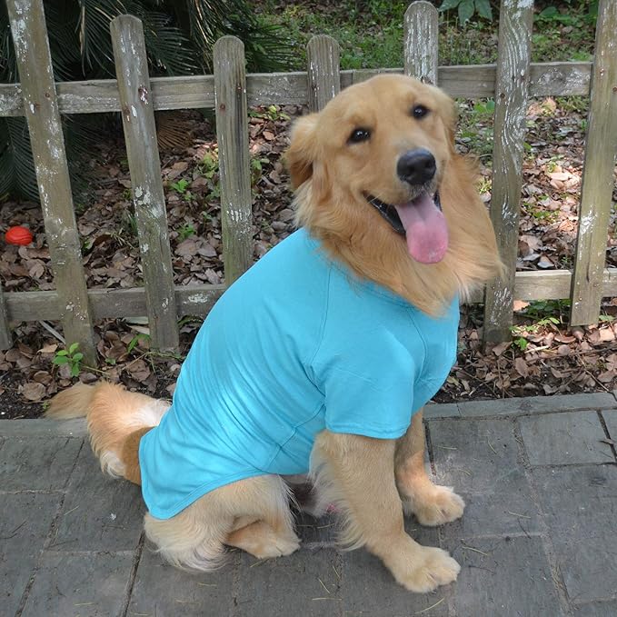 Lovelonglong Pet Clothing Dog Costumes Basic Blank T-Shirt Tee Shirts for Medium Dogs Turquoise XXL