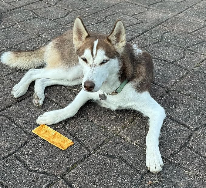 Fieldcrest Farms Nothing to Hide Natural Rawhide Alternative Flip Chips for Dogs - 3 Pack Bundle & Magnet (Chicken, Beef, Peanut Butter) Premium Easily Digestible Chews Great for Dental Health