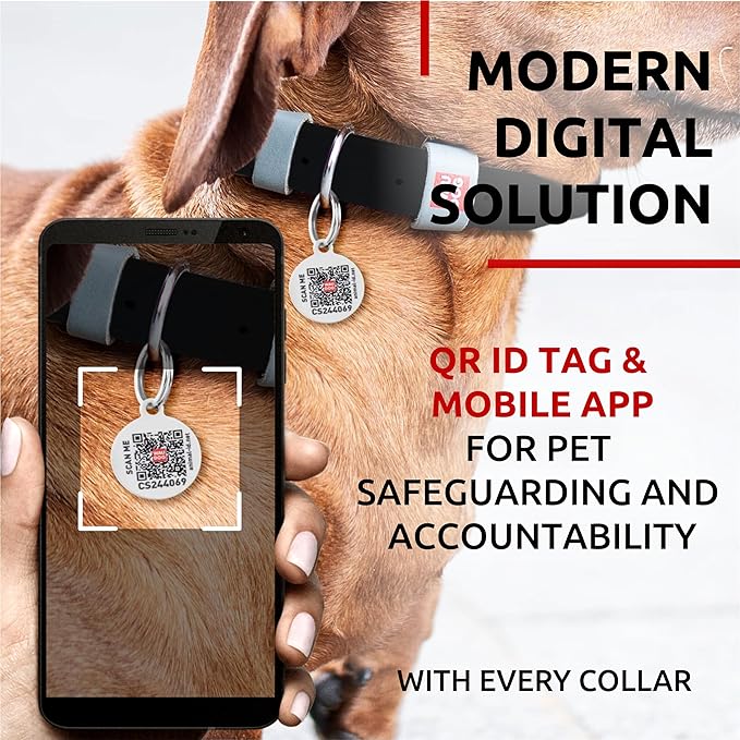 WAUDOG Long Lasting Leather Dog Collar for Large Dogs, Medium & Small Dogs - Adjustable Classic Puppy Collars for Large Breed Dogs - Boy & Girl Dog Collars with Durable Buckle, D-Ring & QR Dog Tag