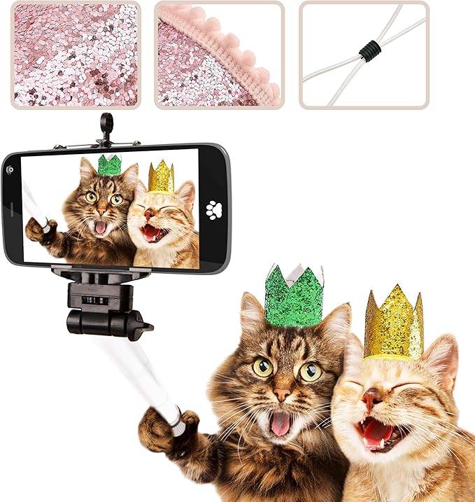 PET SHOW 10 Pack Mini Small Dog Crown Hat Dog Birthday Party Hats Adjustable Headband Hats Cat Rabbit Hats for Holiday Wedding Puppies Kittens Costume Accessories