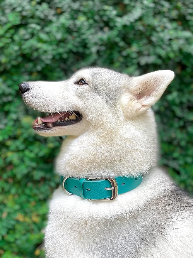Tuff Pupper Classic Heavy Duty Dog Collar | 10x Stronger Than Leather | 100% Waterproof & Odor Proof Dog Collar | Tough Rust-Proof All Metal Hardware