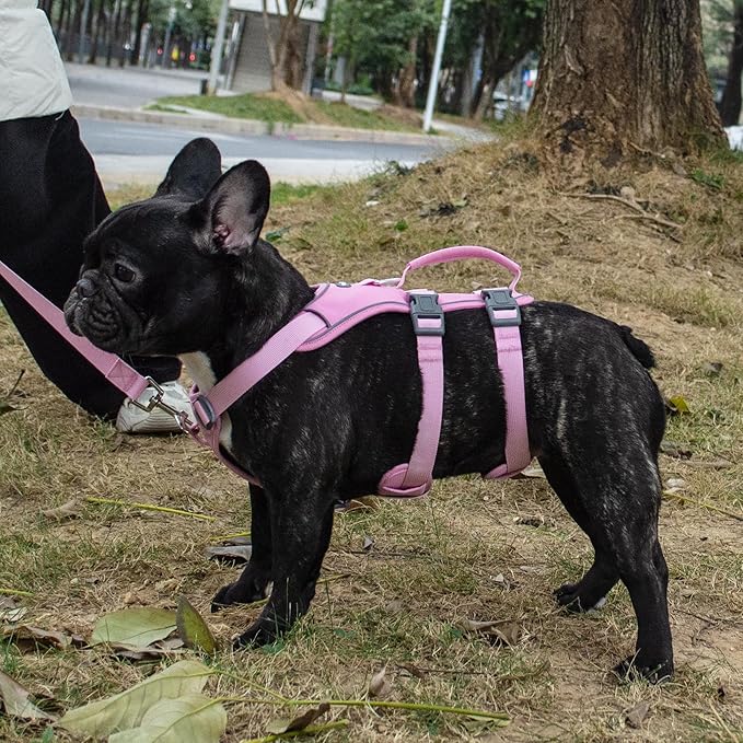 Escape Proof Dog Harness and Leash Set, Lightweight Dog Harness with Lift and Assist Handle, No Pull Reflective Pet Vest for Small Medium Dogs, Ideal for Puppy Walking and Training (Pink, S)