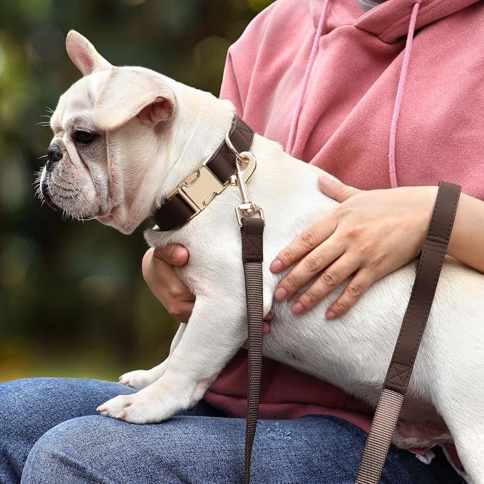 PET ARTIST Bright & Classic Leather Dog Collar, Durable & Heavy Duty Dog Collars with Quick Release Metal Buckle, Adjustable Nylon Padded Pet Collar for Small Dogs, Neck Fit 9-14"