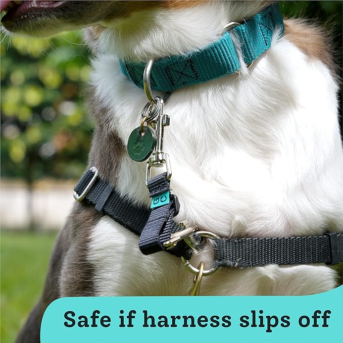 Gentle Creatures Collar Companion - Adjustable Collar Backup Clip for Dog Harness, Prong, Pinch Collar, Gentle Lead - Double Ended Clasp - Safety Clip