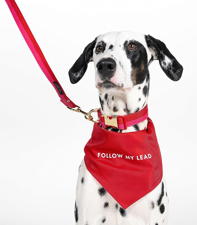 Kate Spade New York Cute Dog Collar with Gold Metal Buckle, 15.5" to 24" Adjustable Collar for Female or Male Dogs, Medium and Large Breeds (Red and Pink)