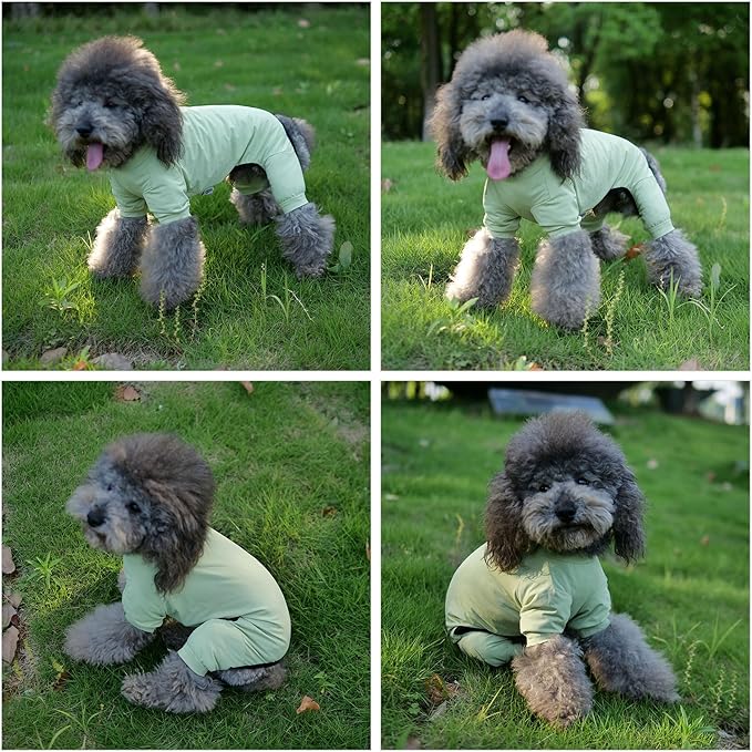 LoveLongLong Dog Jumpsuit with UV Protection and Quick-Dry Fabric for Spring Summer Pet Pajamas Light Green XL