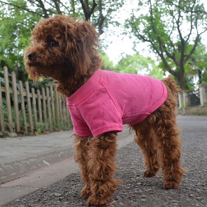 Lovelonglong Pet Clothing Dog Costumes Basic Blank T-Shirt Tee Shirts for Small Dogs Rosered XS