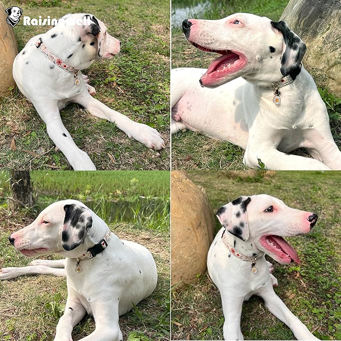 Cute Dog Collar Beige Flower Pattern for Boys and Girls Holiday Dog Collars Summer Fall Gift Adjustable for Small to Medium Breed Dogs (S)