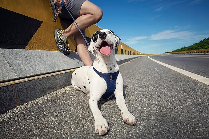 No Pull Dog Harness with Multifunction Dog Leash,Soft Adjustable No Choke Escape Proof Pet Harness Vest for Medium Dogs or Large Dogs,Denim Blue,L
