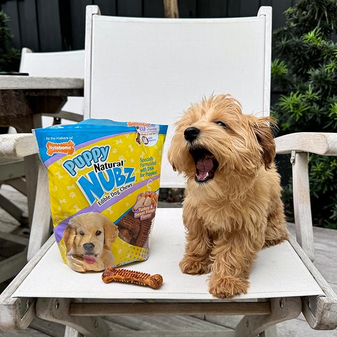 Nylabone Nubz Natural Edible Dog Chew Treats for Puppies, Long Lasting Dog Bones Made in USA, Turkey & Sweet Potato Flavor, for Puppies Up to 25 lbs. (28 Count)