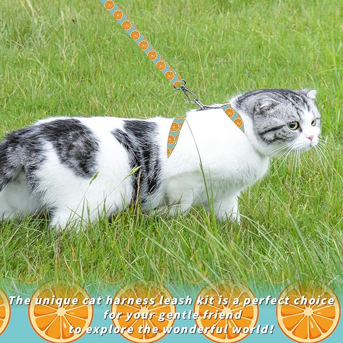 Cat Harness and Leash Set, Adjustable Kitten Harness Escape Proof Cats Harness, Soft Lightweight Walking Travel Pet Harness, Cute Kitty Harness Leash Set for Small Medium Cats, Blue Lemon