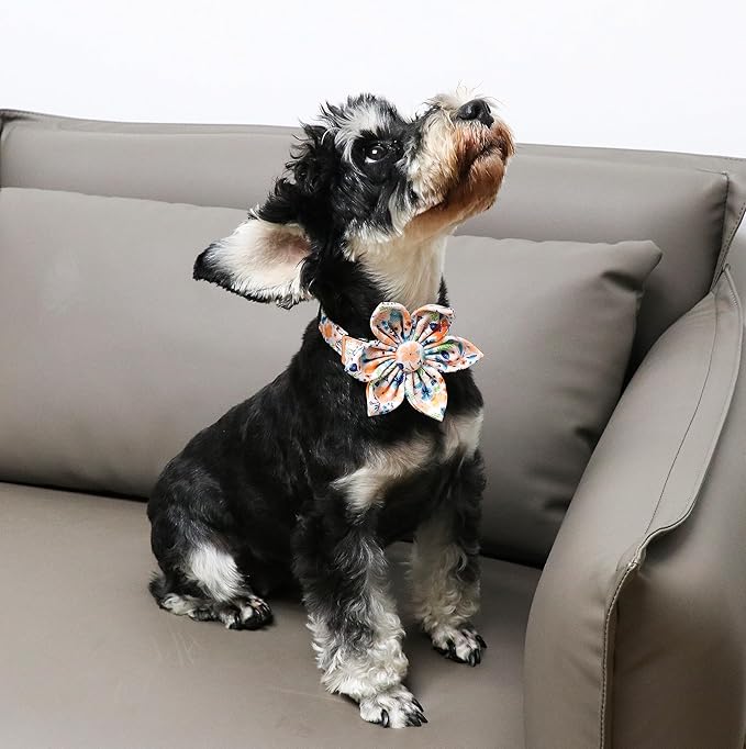 Unique Style Paws Cotton Dog Collar with Bow Floral Plaid Colorful Dog Collar with Bow Tie for Small Medium Large Dogs Pets Gifts
