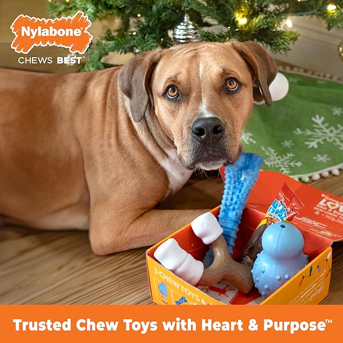 Nylabone Dog Gift Box, Includes 3 Rubber Strong Chew Toys and 1 Natural Treat, Gifts for Dogs, Large - Up to 50 lbs, 4 Pack