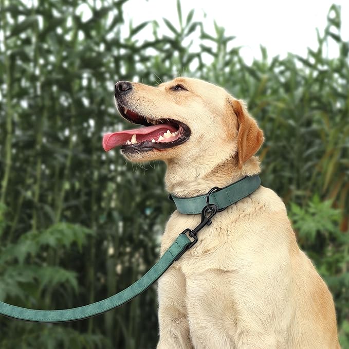Didog Soft Padded Leather Dog Collar and Leash Set, Heavy Duty 4FT Faux Leather Dog Leash and Collar Set with Metal Buckle for Small Medium Large Dogs, Green, L