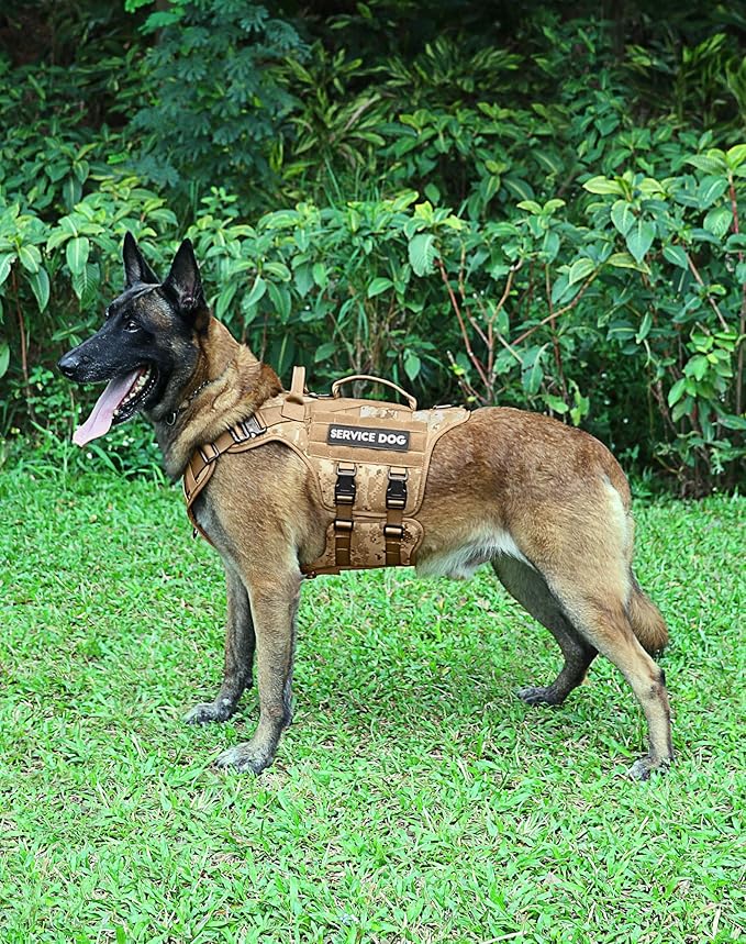 Tactical Dog Harness - PETNANNY Dog Harness Service Dog Vest for Large Breed Dog, Hook and Loop Panel for Service Dog Patchs, Work Dog MOLLE Vest with Handle for Walking Hiking Training(Desert Camo,L)
