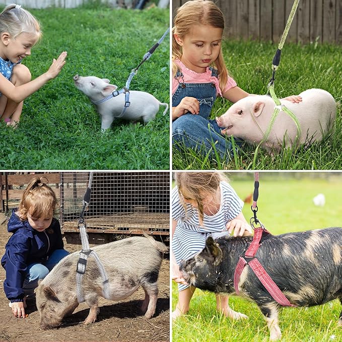 Mini Pig Harness, Adjustable Small Pig Harness with Leash Infinity Style Lead and Soft Foam Handle for Small to Medium Pet Pigs Walking Training Jogging (Blue, L)