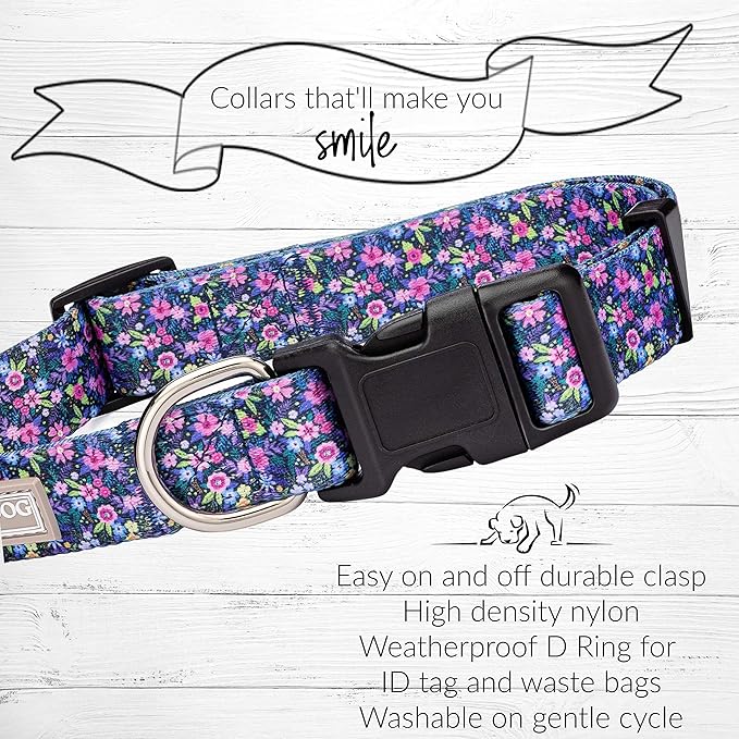 Lucky Love Dog, Matching Dog Collar & Leash Set for Female Dogs, Soft, Adjustable, Safe for Training and Walking, Black & Purple Floral Print, Primrose Combo, Large