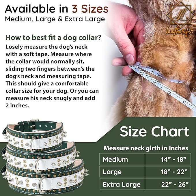 Genuine Leather Dog Collar by Leatherific, Premium Bridle Leather, Heavy Duty, Padded, Strong, Screwed Spikes, Medium, Large, Extra Large Breeds, 2" Wide (Forest Green, Neck Size 18"-22")