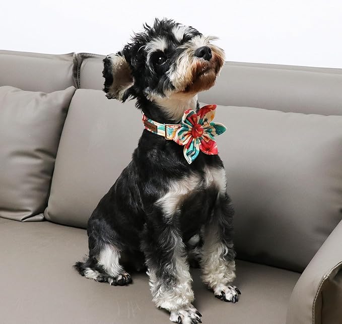 Unique Style Paws Cotton Dog Collar with Bow Floral Plaid Colorful Dog Collar with Bow Tie for Small Medium Large Dogs Pets Gifts