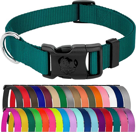Country Brook Petz - American-Made Dog Collar for Large, Medium, and Small Dogs and Puppies - Deluxe Heavy Duty Nylon in 33 Dazzling Colors (Extra Small, 3/8 Inch Wide, Teal)