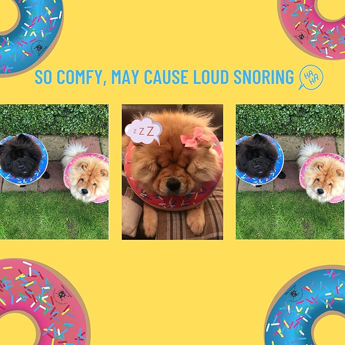 Dog Donut Collar | Alternative to Traditional or Soft Dog Cones | Inflatable Post-Surgery Cone for Small Dogs (Blue)