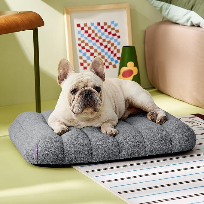 Lesure Cute Orthopedic Dog Bed for Small Dogs, Waterproof Chic Flat Pet Beds with Removable Washable Cover, Fuzzy Thick Egg Crate Foam Pet Mat for Indoor Use (24" x 18", Grey)