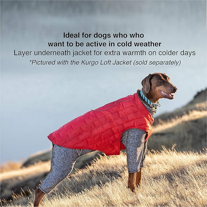 Kurgo Dog Onesie Body Warmer | Bodysuit for Dogs | Recovery Suit | Pet Pajamas | Reduce Anxiety | Contains Shedding | Leash Opening | Reflective | Stowe Base Layer | Heather Black/Grey (Small)