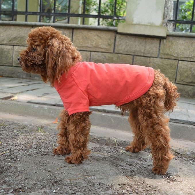Lovelonglong Pet Clothing Dog Costumes Basic Blank T-Shirt Tee Shirts for Small Dogs Lobster Pink M