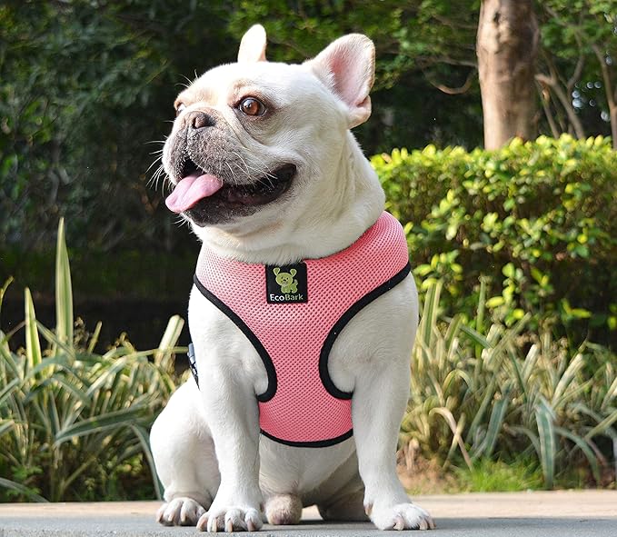 EcoBark Dog Harness - Luxurious Soft Mesh - Eco-Friendly Over The Head Vest Harness - No Pull & No Choke Design - Padded Breathable Body Halter - for Large Breed Dogs (Bubblegum, XXL)