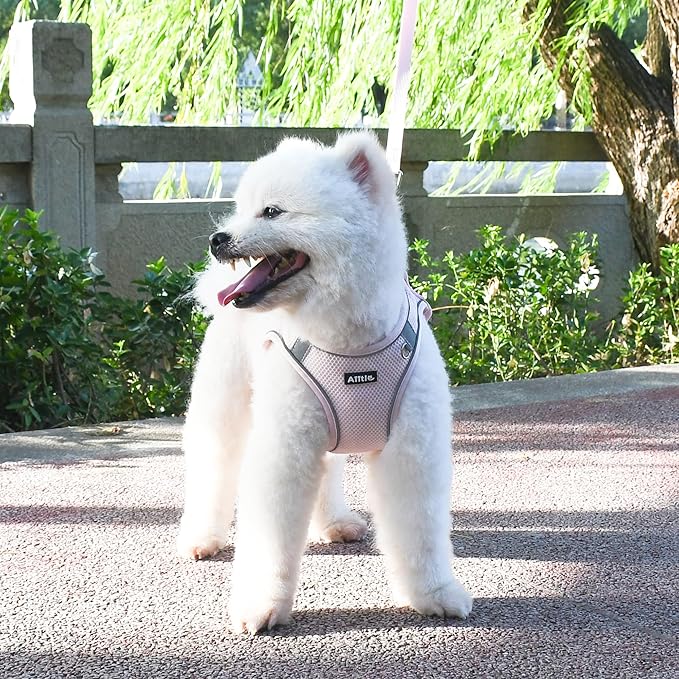 AIITLE Dog Harness for Medium Sized Dog, No-Pull Dog Vest with a Leash, Breathable Mesh, Reflective Stripes, Escape Proof Pet Outdoor Harnesses Puppy Essentials for Medium Dogs Pink M