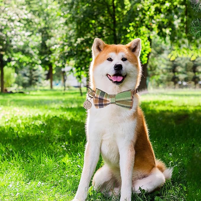 ADOGGYGO Plaid Dog Collar with Detachable Bowtie, Adjustable Soft Green Plaid Collars for Small Medium Large Dogs Pets (Medium)
