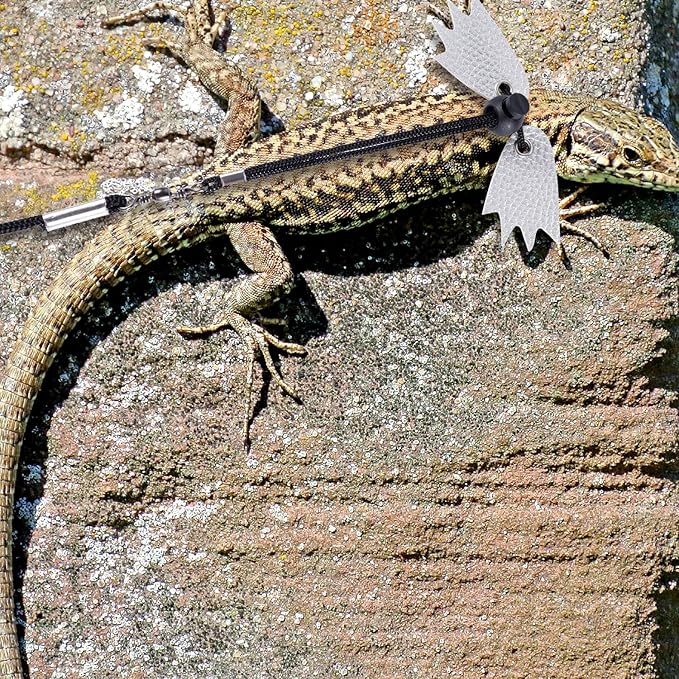 Bearded Dragon Lizard Leash Harness, Adjustable Lizard Leash Accessories Winged Bearded Dragon Rope with Hat and 3 Sizes Leather Harness for Lizard Chameleon Amphibian