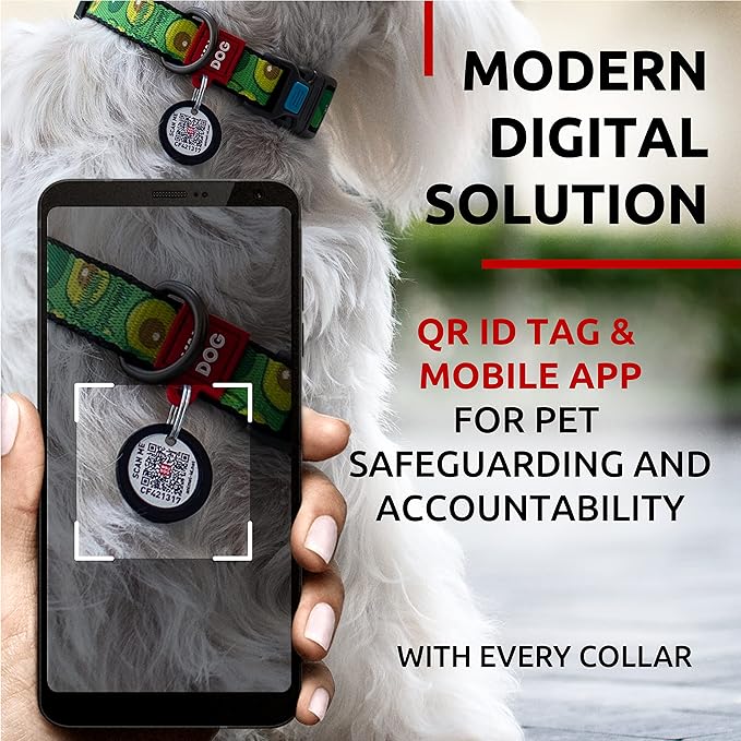 WAUDOG Nylon Dog Collar - Adjustable Dog Collar for Large Dogs, Small & Medium Dogs - Breakaway Puppy Collars for Large Breed Dogs - Boy & Girl Dog Collars with Durable Plastic Buckle and QR Dog Tag