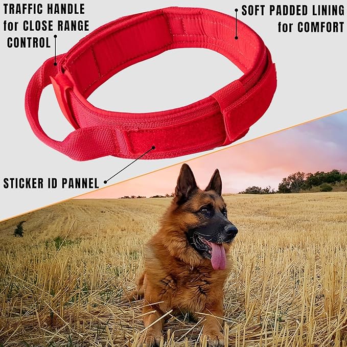 ADITYNA Heavy-Duty Tactical Dog Collar with Handle - Perfect Red Dog Collar for Training, Walking, or Hunting (Large: Fit 18.5-22" Neck, Red)