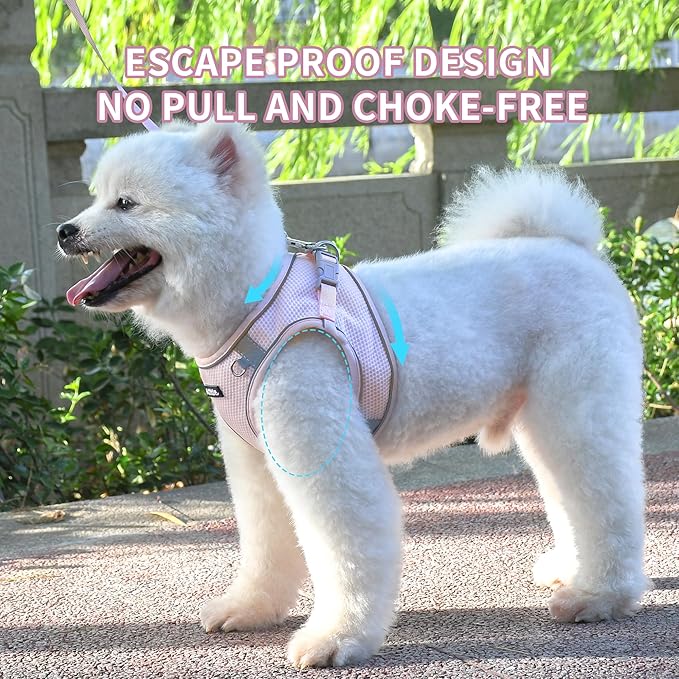 AIITLE No Pull Dog Harness and Leash Set, Step in Adjustable Dog Harness with Padded Vest for All Weather, Reflective Pet Harness, Easy to Put on Small Dogs Pink S