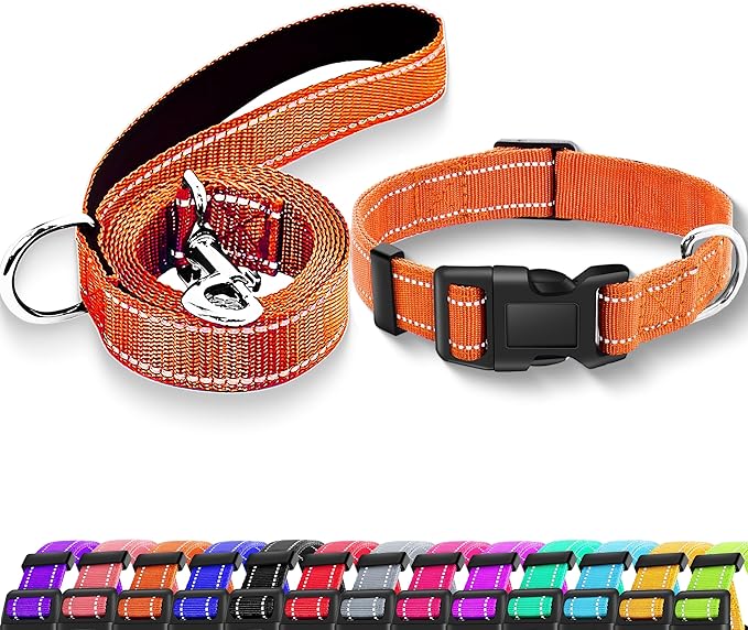 Reflective Dog Collar with Safety Locking Buckle, Adjustable Soft Breathable Nylon Collars for Small, Medium and Large Dogs(Collar+Leash XS Width 5/8" Orange)