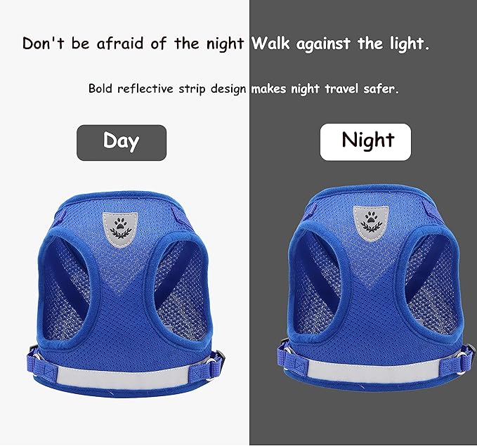 Step in Dog Harness and Leash Set,Reflective Adjustable Soft Mesh Breathable Pet Vest Dog Harnesses Set, No Chock No Pull Padded Puppy Harnesses for Small Dogs and Cats (Blue, X-Small)