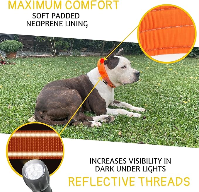 ADITYNA Heavy Duty Dog Collar for Extra-Large Dogs - Reflective Orange Collar with Handle for Training, and Walking - Wide, Thick, Tactical, Soft Neoprene Padded