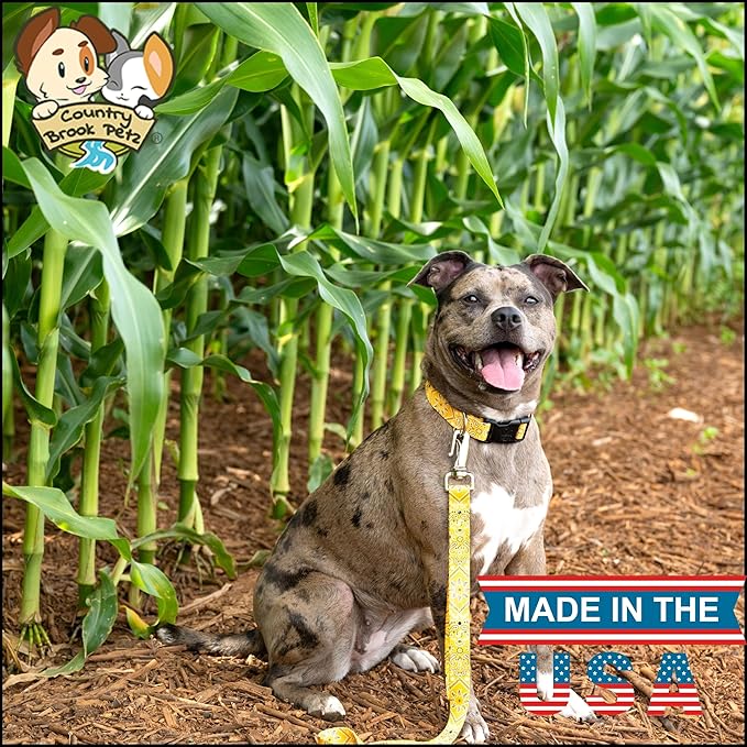 Country Brook Petz - Deluxe Yellow Bandana Dog Collar - Made in The U.S.A. - Country and Western Collection Featuring Rustic Designs (1/2 Inch, 2XS)