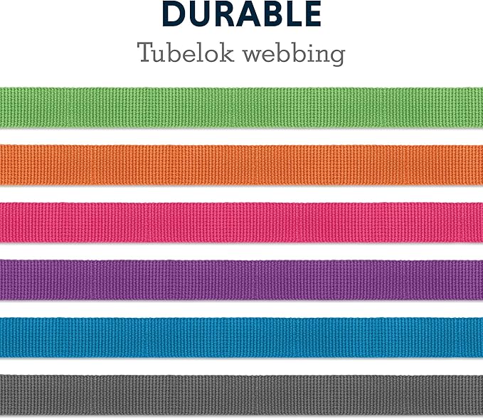 Ruffwear, Front Range Dog Leash, 5 ft Lead with Padded Handle for Everyday Walking, Reef Fish