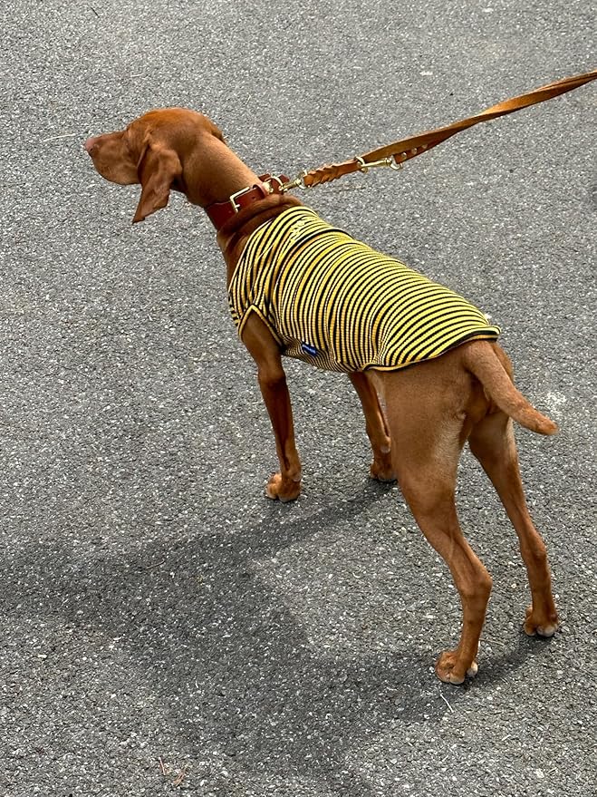 Little Beast Dog Clothes - Pet Clothes for Large, Medium, and Small Dogs (Dog Shirts Come in Multiple Colors and Styles) - Size: X-Large Dogs, Black/Yellow