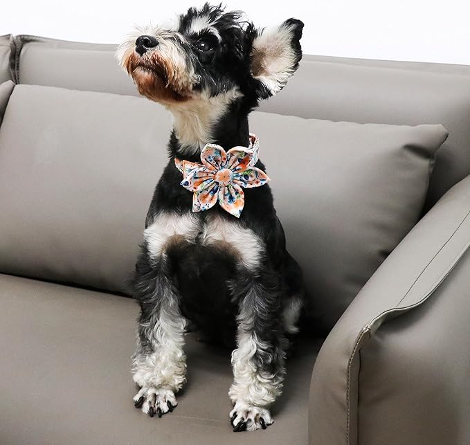 Unique Style Paws Cotton Dog Collar with Bow Floral Plaid Colorful Dog Collar with Bow Tie for Small Medium Large Dogs Pets Gifts