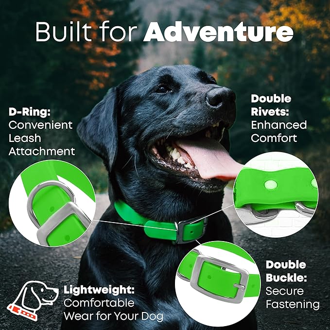 Regal Dog Products Small Light Green Waterproof Dog Collar and Leash Set | Heavy Duty Double Buckle & D Ring - 5'ft Leash | Adjustable Biothane Dog Collar | Chew Resistant Waterproof Collar for Dogs