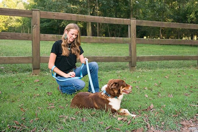 Country Brook Petz - American-Made Dog Collar for Large, Medium, and Small Dogs and Puppies - Deluxe Heavy Duty Nylon in 33 Dazzling Colors (2XS, 3/8 Inch Wide, Ice Blue)