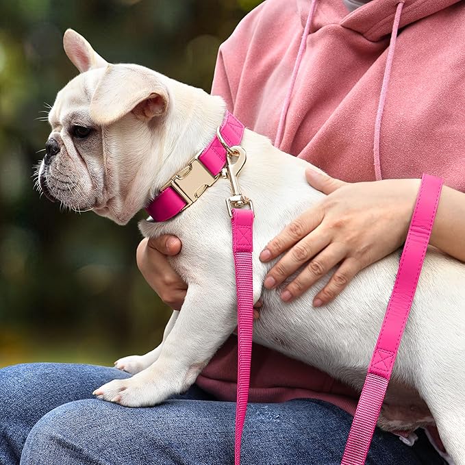 PET ARTIST Soft Leather Dog Collar, Bright & Stylish Hot Pink Dog Collar Girl, Durable & Heavy Duty Nylon Pet Collar with Quick Release Metal Buckle Adjustable for Small Dogs, Neck Fit 9-14"